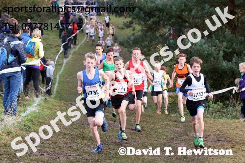 Boys under-13s National Cross Country Relay, Berry Hill Park, Mansfield. Photo:  David T. Hewitson/Sports for All Pics